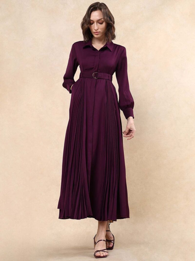 Women Pleated Fit & Flare Maxi Dress - Image 3
