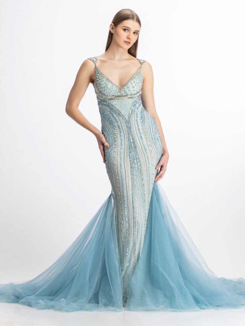 Embellished V-Neck Sleeveless Net Gown Dress