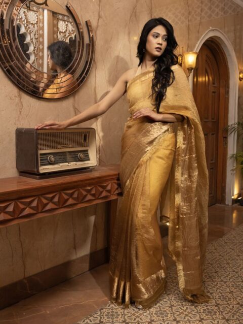 Zari Tissue Banarasi Saree